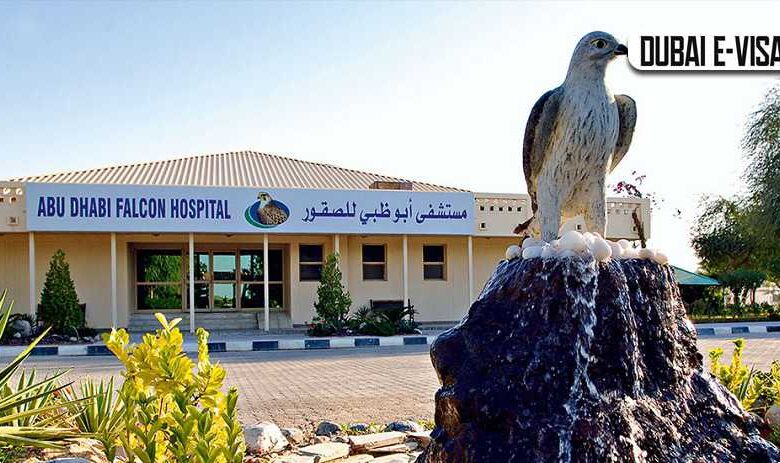 بیمارستان شاهین ها در ابوظبی امارات